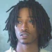 genre