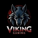 Vikinggaming91
