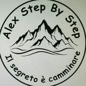 Alexstepbystep