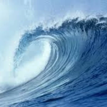 wavyk