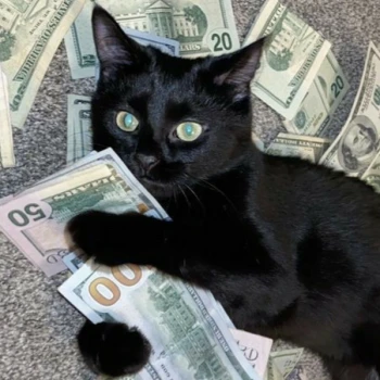 Kick profile picture for @cuts