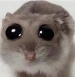 SMaLLiK666