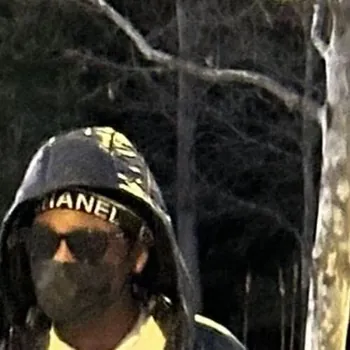 pnut