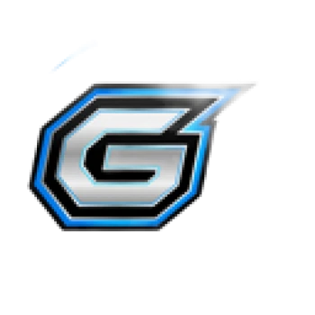 gerson503