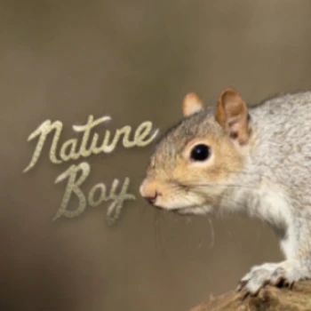 NatureBoyUK