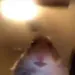 Nicx_36