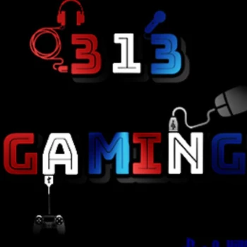 313_Gaming