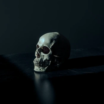 Kick profile picture for @cesspool