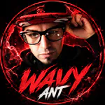 2WAVYANT profile picture