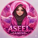 Aseel1mai