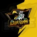 Alrawi_gaming