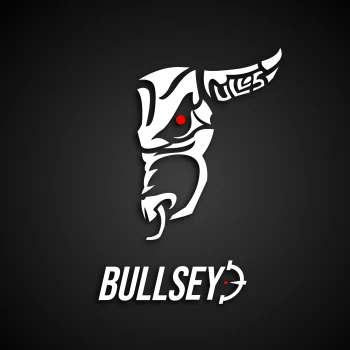 BULLSEY3