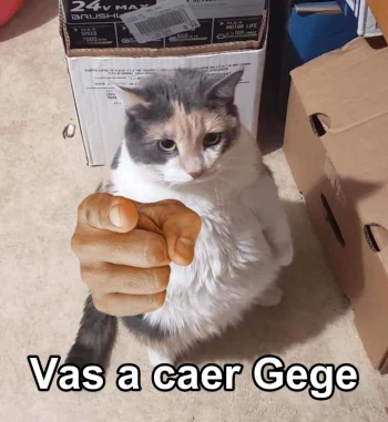 Hombar69