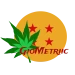 GioMetric