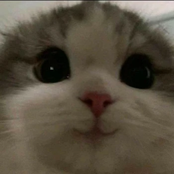 Boss_One Kick Profile Picture