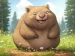 slowfatwombat Profile Picture