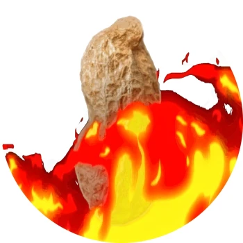 TheBurntPeanut