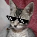 Tomilloo