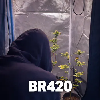 BR_420
