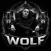 WOLF_MQ