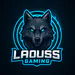 LAOUSS_GAMING