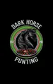 darkhorsepunting avatar