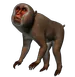 Makens