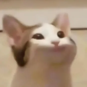 BwopCat