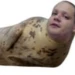 Sogre