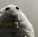 orenoyume