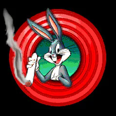 shmacked