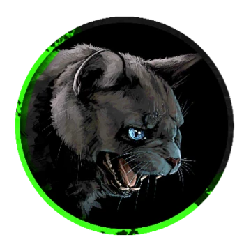 CAT_N0IR