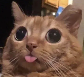 Its_Kritter