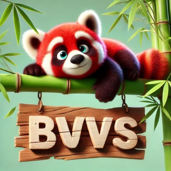 BVV5