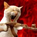 gatoviolento