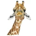 Itz_Giraffe