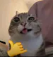 sanntisimo