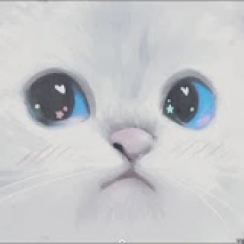 Gato04