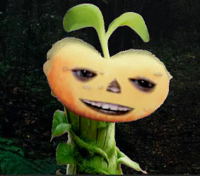 HairyBeanStalk