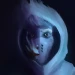 The_Dark_Finder