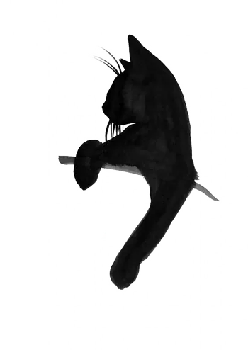 Akiitty47