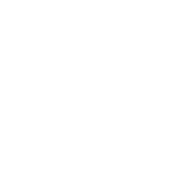 Venedigitall