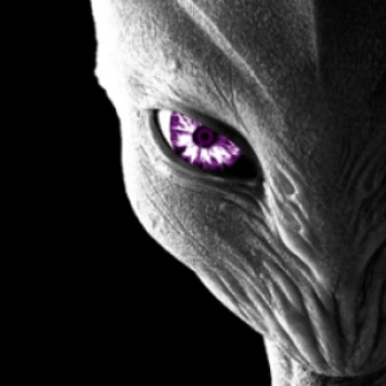 SaiMorphX