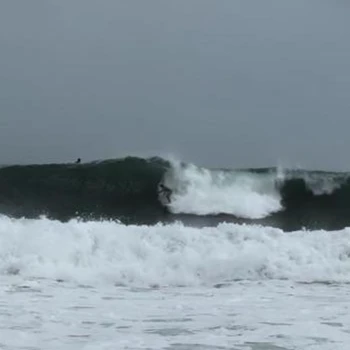 Kick profile picture for @surfing