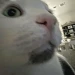 igrip