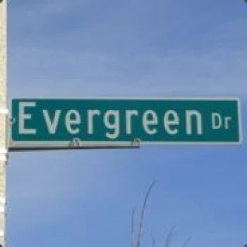 Kick profile picture for @evergreen