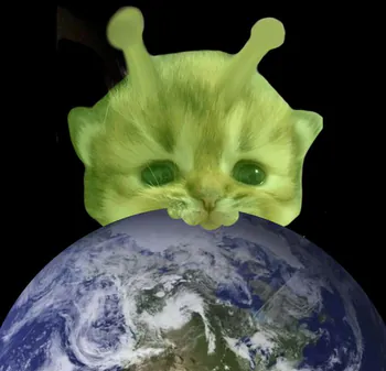 FriRanner