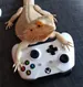 lyzard_exe