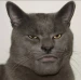 titasama