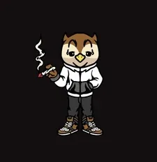 Hoots_9